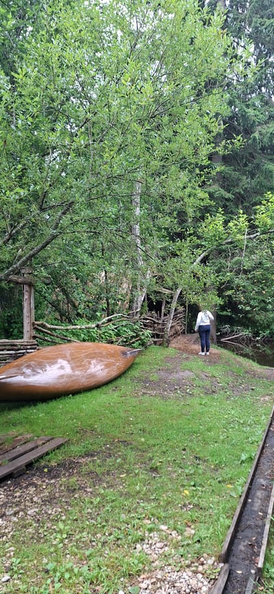 An overhead shot captures a person from behind, facing a wooden canoe resting on a grassy bank. The canoe, a polished brown, lies on its side, its curve prominent. Behind it, a rustic wooden structure with a thatched roof stands, surrounded by lush green trees and foliage. A rough-hewn fence made of branches encloses the area. The ground is a mix of grass and scattered stones, with a wooden channel running along the right side of the frame. The scene suggests a tranquil, natural setting, likely in Saula, Estonia, given the provided context.