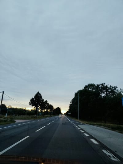 The image captures a road in Suchocin, Poland, under a cloudy sky as dusk approaches. The road is asphalt with white lane markings, and it appears to be a two-lane highway with a shoulder on the right side. Dense trees line the right side of the road, obscuring much of the background. On the left side, there are fewer trees and some vegetation, with a utility pole and wires visible. A few cars are present on the road, suggesting it is open to traffic. The overall atmosphere is subdued, with the soft light of twilight casting a muted tone over the scene.