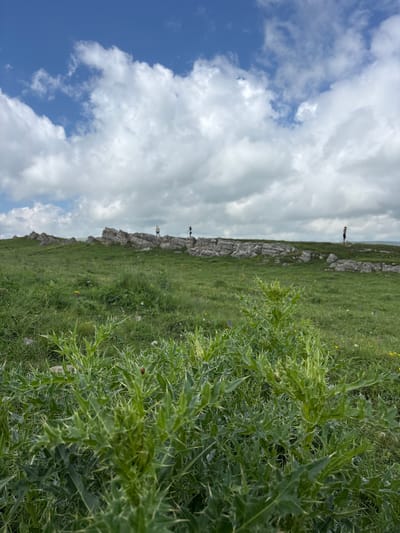 In Kichi-Balyk, Russia, a scenic outdoor view showcases a grassy hillside under a partly cloudy sky. In the foreground, a spiky green plant with sharp thorns dominates the lower portion of the frame. The midground reveals a rocky ridge with several distant figures standing and observing the landscape. The background features a vast expanse of sky with scattered white clouds against a blue backdrop. The overall scene captures a natural, elevated terrain, likely a popular spot for sightseeing.