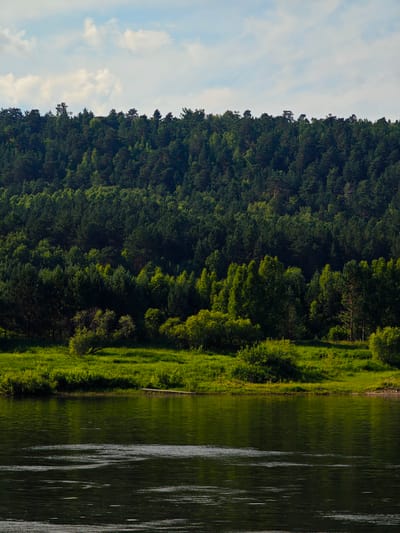 A wide, dark river flows in the foreground, reflecting the sky and the lush green landscape of the opposite bank. The bank is lined with a dense forest that extends upwards to meet a pale blue sky dotted with white clouds. The forest is a mix of evergreen and deciduous trees, creating a textured wall of green. In the foreground, the river surface is disturbed by gentle ripples and currents. The scene is serene and appears to be a natural landscape near the city of Predivinsk, Russia.