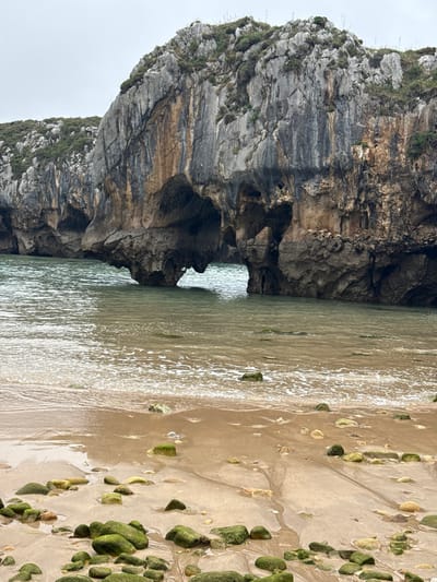 A natural archway is visible in a rugged cliff face on the coast of Llanes, Spain. The arch is formed by the sea eroding the rock, creating an opening through which the water flows. The cliff face is textured and appears to be made of a mixture of rock and vegetation, with some areas showing signs of weathering and mineral deposits. The sea in front of the cliff is calm, with gentle waves lapping onto a sandy beach littered with moss-covered rocks. The sky is overcast, casting a soft light over the scene. The image captures a serene coastal landscape, showcasing the natural beauty of the area.