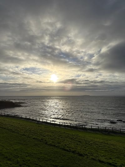 The image presents a coastal landscape in Crail, United Kingdom, under an overcast sky with the sun low on the horizon, creating a strong glare and direct reflection across the water. The sky is filled with grey and white stratocumulus clouds, with brighter areas around the sun. Numerous small, dark specks, identified as birds, are scattered across the upper portion of the frame, particularly above the horizon line to the left and right. The sea is dark, exhibiting noticeable waves and a prominent path of shimmering sunlight extending from the horizon towards the foreground. A rocky shoreline occupies the left mid-ground where the sea meets the land, and isolated dark rocks are visible in the water on the right. A dark, distant landmass or island is discernible on the far horizon, slightly right of center. The foreground consists of a vibrant green, neatly maintained grassy slope, occupying the lower third of the image. A dark wooden fence or railing runs horizontally along the bottom edge of the slope, separating it from a dark path. A single dark park bench is positioned on this path, behind the fence, approximately centered in the lower mid-ground. No individuals are present in the scene.