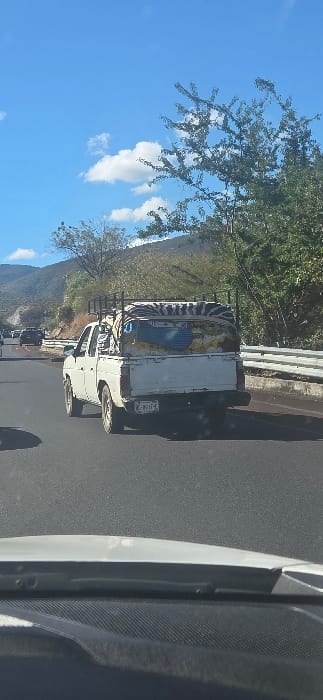 A white truck with a decorative zebra-striped roof rack is parked on the side of a road, possibly a highway. The truck has a luggage rack on its cab. A mountainous landscape is visible in the background with a clear blue sky and some clouds. Some trees and bushes are also nearby. The photo appears to be taken from inside another vehicle.