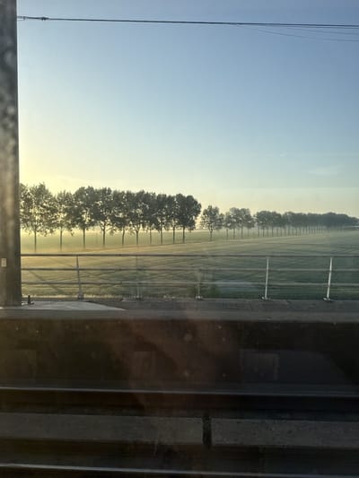 View from a train window. Foreground shows train tracks and a concrete wall, with a metal support beam partially obscuring the left side. Beyond the wall is a field with a row of trees extending into the distance under a clear, early morning sky. Light mist or fog is present in the field. This scene is likely located near Nieuw-Vennep, Netherlands, due to the typical Dutch landscape of flat fields and rows of trees. No people are visible.