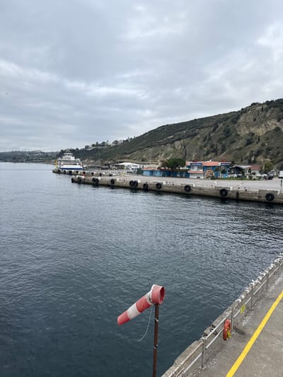 A harbor scene under a cloudy sky. A mountain rises along the left side of the frame, alongside a concrete pier with tires attached. The calm, dark water fills the right half of the image. A striped windsock is attached to a pole, indicating a light breeze. A yellow line marks the edge of the pier, with metal railings and ladders present. A large ferry is docked further along the pier, near buildings and stacked containers.
