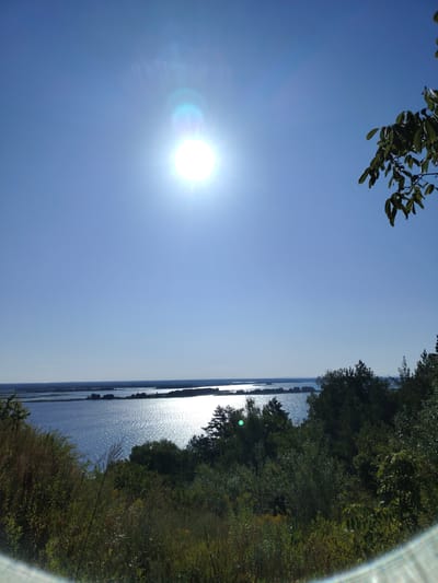 This is a landscape photograph taken in Staiky, Ukraine. The image depicts a wide body of water, likely a river or lake, with the sun shining brightly in a clear blue sky. The sun is positioned in the upper left quadrant of the frame and is the dominant light source, creating a lens flare effect. The water's surface is rippling and reflecting the sunlight, giving it a shimmering appearance.
In the foreground, there is dense vegetation, including trees and tall grasses, that obscures the lower edge of the frame. Some of these plants appear to be on a hillside, suggesting an elevated viewpoint. On the opposite bank of the water, a distant shoreline is visible, characterized by a line of trees and vegetation. The horizon is flat and merges with the sky.
The overall scene suggests a bright, sunny day with a serene natural environment. There are no people or animals visible in the photograph, and the focus is on the natural landscape. The presence of water, trees, and the bright sun indicates a typical summer or late spring day in the region.