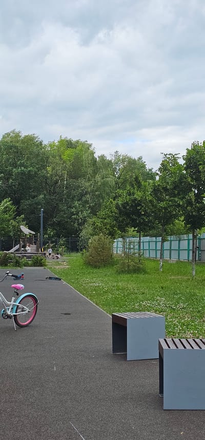 The image depicts a playground and park area in Butovo, Russia. In the foreground, a light blue bicycle with pink accents is parked on an asphalt path. To the right, two modern, light grey benches with slatted wooden seats are positioned facing each other, with one partially visible. A scooter lies on the asphalt path further back.

The middle ground features a children's playground with a wooden structure that includes a slide and platforms. Several children are visible on and around the playground equipment. A sandpit is also present, with a few children playing in it. A black metal fence encloses the playground area. Beyond the playground, a grassy area is dotted with small white flowers. A light green, translucent fence runs along the edge of the park.

The background is dominated by a dense cluster of mature green trees, creating a natural backdrop. The sky above is overcast with a mix of grey and white clouds. The overall scene suggests a typical outdoor recreational space for families.