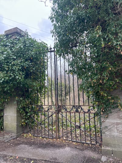 A rusted, ornate iron gate stands slightly ajar, heavily overgrown with ivy. The gate is flanked by weathered stone pillars, also covered in ivy. Through the gate, a glimpse of a natural, overgrown area can be seen. A paved path is visible to the right of the gate. The scene is overcast, and likely located in a garden or park setting within Aberdeen City, United Kingdom.