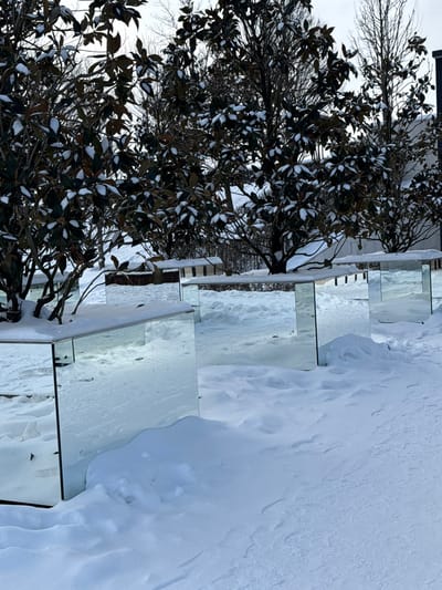 The scene depicts an outdoor winter environment in Plodorodny, Russia, under an overcast sky. The ground is covered by a thick, undisturbed layer of snow. A row of at least six mirrored, rectangular planter-like structures is positioned diagonally across the frame, extending from the lower left to the mid-right. Each structure encases the base of a small tree, which exhibits dark, broad leaves partially covered with snow. The mirrored surfaces reflect the snowy ground and surrounding trees, creating an illusion of partial transparency. Accumulations of snow are present on the flat tops of these structures and around their bases. Additional trees, some with bare branches, are visible in the background, along with a partially obscured, indistinct building on the far right. No individuals or active subjects are present.
