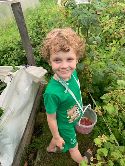 A young child with curly blond hair is smiling at the camera, lying on the grass in a garden. They are wearing a green t-shirt with a graphic of a bear on it. A white bucket filled with red raspberries is next to them. The child is surrounded by raspberry bushes, some with ripe fruit. The scene appears to be outdoors in a garden or farm. The time of day seems to be daytime, and the weather appears to be pleasant. The child's expression is happy and engaged. There is a wooden structure with a white tarp in the foreground. The overall impression is one of a child enjoying a day of berry picking.