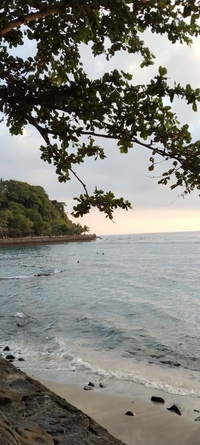 The image depicts a view of a beach in Senggigi, Indonesia, with the ocean in the foreground and a tree branch with green leaves in the upper portion of the frame. The water is a light blue-green, with small waves breaking on a sandy and rocky shore. In the distance, there is a coastline lined with trees and a wall. A few people are visible in the water, some swimming and some potentially surfing or waiting for waves. The sky is overcast with hints of a sunset. The scene is naturalistic and captures a moment of leisure at the beach.