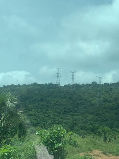This image depicts a verdant, hilly landscape in Assob, Nigeria, under an overcast sky. The terrain is densely covered with various shades of green foliage, suggesting extensive vegetation. Three metallic lattice-steel electricity transmission towers, or pylons, are positioned along the crest of the hills in the mid-ground, spaced horizontally. The sky above is uniformly light gray with visible cloud cover. In the immediate foreground, to the left, a large, broad-leafed, palm-like plant is partially visible, along with other dense green shrubbery and ground cover. No human subjects, animals, or specific actions/interactions are discernable within the frame.
