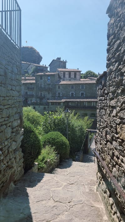 The image captures a sunlit, stone-paved pathway descending between two weathered stone walls in the medieval village of Rupit i Pruit, Spain. The path, made of irregular flagstones, is bordered by neatly trimmed green bushes on the left and a rustic metal handrail along the stone wall on the right.

In the background, a cluster of traditional stone houses with terracotta roofs are visible, stacked on a hillside. These buildings are characterized by their aged stone facades, wooden balconies, and small windows. A flag is visible atop a prominent rocky outcrop in the distance. A vintage-style streetlamp stands amidst the greenery. The scene is bathed in bright daylight, casting distinct shadows. The sky is clear and blue.
