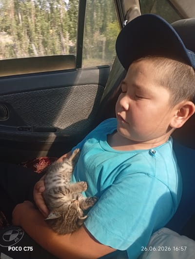 The image shows a young boy sleeping in the back seat of a car, holding a small kitten. The boy is wearing a blue t-shirt and a dark blue baseball cap. He is asleep with his eyes closed and his head resting against the car's interior. The kitten is a tabby and is curled up asleep in the boy's arms. The car appears to be moving, as suggested by the blurred trees visible through the window. The scene is lit by sunlight, indicating it is daytime. The setting is the interior of a car in a rural or semi-rural area, possibly Kyrgyzstan, given the provided location context. The overall mood is peaceful and tender, capturing a moment of quiet companionship between the boy and the kitten. Visible text includes "POCO C75" and a date and time "26.06.2026 16:57" in the bottom right corner of the image.