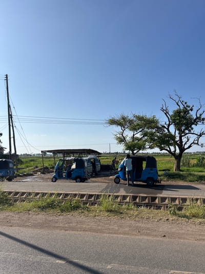 The image displays an outdoor scene under a bright, clear blue sky. The perspective is looking along a rural or semi-urban road. On the right side of the frame, a paved road is visible, flanked by a dirt shoulder and a low concrete wall composed of interlocking blocks. Beyond this wall, to the left, are expansive green agricultural fields, likely rice paddies, stretching towards the horizon.
Several blue three-wheeled vehicles, resembling tuk-tuks or auto-rickshaws, are parked along the dirt path adjacent to the fields. A large, mature tree with a full canopy and some exposed branches stands prominently on the left side of the path, providing shade. Beneath this tree, a blue tuk-tuk is parked, and a person dressed in light clothing is standing next to its open door. Further down the path, more blue tuk-tuks are parked, with some appearing to be gathered under a simple, open-sided shelter. Another partial view of a blue tuk-tuk is visible in the far left foreground.
Utility poles with several overhead wires run across the left side of the image. The bright, direct sunlight suggests it is mid-morning or early afternoon, evidenced by the clear shadows cast by the vehicles and the tree. The scene captures a moment of daily activity, possibly a waiting area or stand for these local transport vehicles. No discernible text is visible in the image.