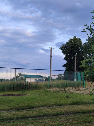The image depicts a view of a rural area in Voskobiinyky, Ukraine, under a cloudy sky. In the foreground, a green chain-link fence runs horizontally across the frame, partially obscuring the scene beyond. Beyond the fence, there is an overgrown area with tall grass and some cut vegetation. A house with a green roof is visible in the middle ground, with a dark-colored vehicle parked in front of it. Further in the background, power lines stretch across the sky, supported by utility poles. A large, dark green tree stands to the right of the house, and other foliage is visible throughout the scene. The overall impression is one of a quiet, somewhat unkempt, rural landscape.