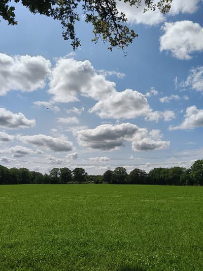 The image depicts a wide, vibrant green field under a bright blue sky dotted with fluffy white clouds. A line of trees forms the horizon, separating the field from the sky. In the distance, thin power lines are visible strung between poles, crossing the sky above the trees. In the upper portion of the image, tree branches with green leaves overhang the scene, partially obscuring the sky. There are no people or animals visible in the image. The scene suggests an outdoor, natural environment likely located in or near the city of Kaltenkirchen, Germany, given the context provided.