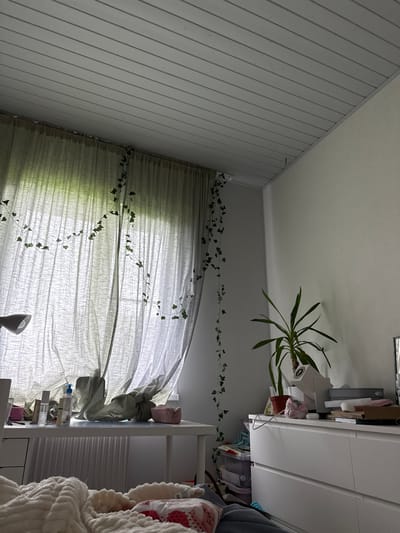 This image depicts a bedroom interior with a white paneled ceiling. Light filters through sheer, light-colored curtains, illuminating decorative ivy vines draped across them and down the adjacent wall. A white desk sits in front of the curtains, cluttered with various items including bottles, a pink bowl, and a lamp. To the right, a white dresser holds a potted plant, a white speaker, and stacks of items. The room appears to be in a state of organized disarray. The provided location of Коробицыно, Russia, cannot be verified from the visual information in the image.