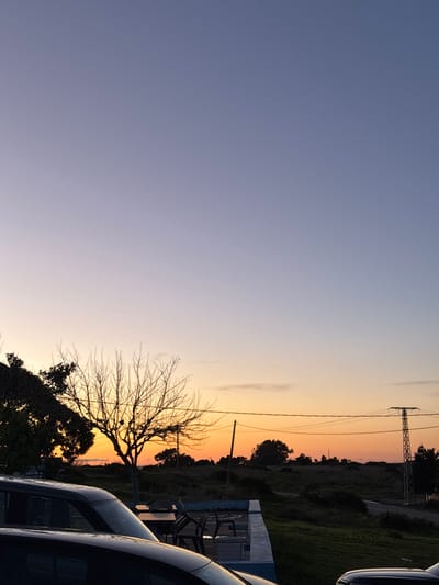 A horizontal view shows a sky graduating from blue to orange at sunset. A silhouetted bare tree stands to the right, its branches reaching into the fading light. Trees and greenery run along the horizon. An electrical tower and lines are visible in the distance. A blue bench and what appears to be the front end of cars are also present on the right side of the image.
