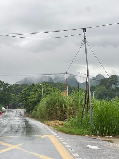 The image depicts a wet, asphalt road curving through a lush, green rural landscape, likely in Tân Thanh Commune, Vietnam. Overhead, power lines are strung across a cloudy, overcast sky. In the foreground, yellow road markings are visible, indicating a lane change or intersection, and the road surface is slick with water, reflecting the sky and surrounding vegetation. To the right of the road, tall, dense green grass and reeds grow abundantly. A utility pole with wires supporting it stands prominently in the mid-ground, near a cluster of tall reeds. Further back, a dense line of trees forms a backdrop, with several mist-shrouded, conical mountains rising behind them. The overall impression is of a humid, possibly rainy day in a natural, undeveloped setting. A white car is parked on the left side of the road in the distance, and a few figures are visible walking along the road.