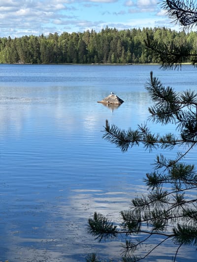 A scenic view of a serene lake in Berezovo, Russia, is presented. The water is a tranquil blue, reflecting the sky and clouds. In the distance, a dense forest of green trees lines the shore. A rocky island stands in the middle of the lake, with two birds perched on it. In the foreground, a pine branch with green needles hangs into the frame, adding a natural border to the scene. The sky is partly cloudy, with white clouds scattered across a blue expanse. The overall atmosphere is peaceful and picturesque, evoking a sense of natural beauty and tranquility.