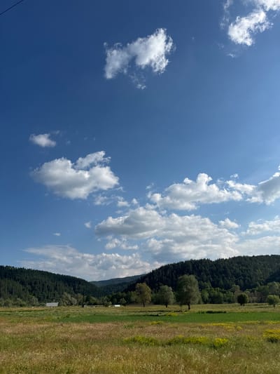 This vertical full shot captures a pastoral landscape under a clear blue sky in Kraishte, Bulgaria. The upper two-thirds of the image are dominated by the bright sky, featuring scattered white cumulus clouds of varying sizes and densities; a thin, white contrail extends diagonally through the middle-left sky. The lower third of the image shows a foreground of golden-brown and green fields, interspersed with small yellow flowers and patches of cultivated green crops. In the midground, a verdant valley unfolds, with several light-green deciduous trees dotted across the fields. On the left side of the valley, a single white-roofed agricultural building is visible, with smaller, indistinct structures further to the right. The background is characterized by undulating hills and mountains, densely covered with dark green coniferous forests, which extend into the distance. The scene is illuminated by natural daylight, casting subtle shadows. There are no people or animals present.