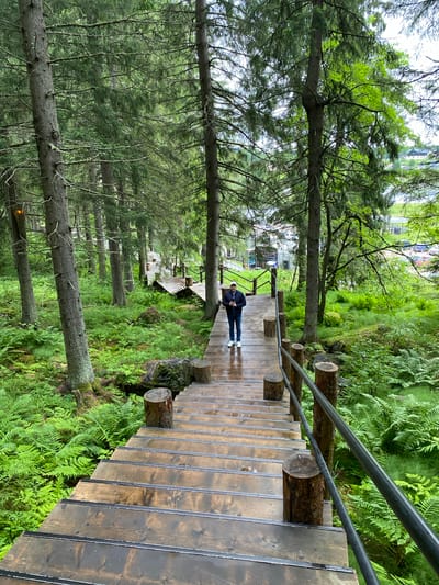 A person stands on a wooden staircase in a forest. The staircase is made of wide, dark wooden planks with metal strips along the edges. The steps are wet, suggesting recent rain. The staircase is surrounded by lush green ferns and tall evergreen trees. The person is wearing a dark jacket, blue jeans, and a white baseball cap. They are holding a dark object in their hands, possibly a phone. The staircase descends into the forest, with a railing made of dark metal pipes supported by rough-hewn wooden posts. In the background, a road with cars is visible, along with some buildings. The location is identified as Lakhdenkiulya, Russia.