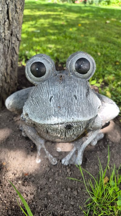 This is a vertically oriented, eye-level, medium shot of a stone garden statue of a frog. The frog statue is in the foreground, partially shaded by the trunk of a tree to its left. The statue is gray with textured detailing, designed to resemble a frog's skin. It has large, round, black eyes with white highlights. The frog's mouth is slightly open, revealing a dark interior. Its front legs are extended forward, resting on dark soil. The background consists of green grass with dappled sunlight filtering through overhead foliage. The scene is outdoors, likely in a garden setting, within Ļūbaste 0001, Latvia.