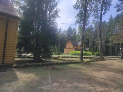 The image shows a view of a yellow wooden house with a dark roof situated in a forested area. In the foreground to the left, a portion of another yellow wooden building is visible, with a sloped roof. The ground is covered with grass and some patches of dry earth, with shadows from the trees cast across it. Behind the yellow house, a dense forest of pine and birch trees is present. In front of the house, there are terraced garden beds or raised platforms constructed with stones and moss. The sky is partly cloudy. The location is identified as Litvensky Sel'sky Soviet, Belarus. There are no people visible in the image.