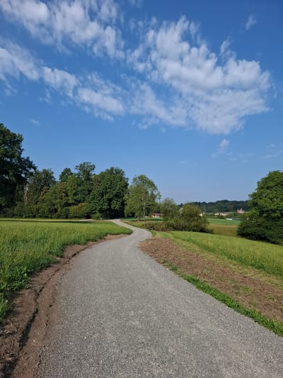 The image depicts a serene outdoor scene in Eschenbach (LU), Switzerland. A gravel path winds through a landscape of green fields and lush trees under a bright blue sky dotted with white clouds. The path curves from the foreground into the distance, bordered by a field of tall green grass on the left and a patch of tilled earth and more grass on the right. In the background, a dense line of trees forms a natural boundary, beyond which can be seen a few houses nestled in the rolling hills. The atmosphere is tranquil and natural, suggesting a rural or park-like setting. There are no people or animals visible in the image.