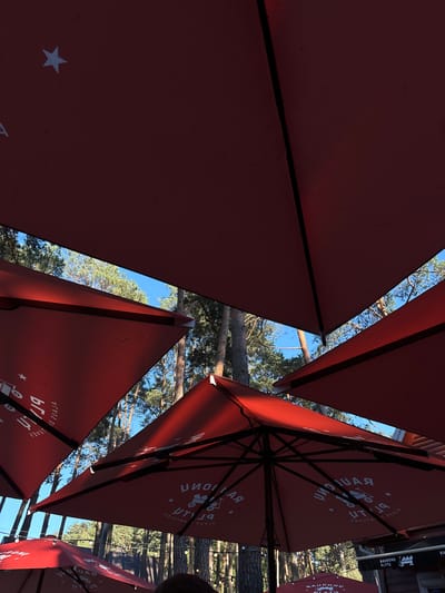 This is a low-angle, eye-level outdoor shot looking up at several large, red patio umbrellas. The umbrellas are angled in a way that creates geometric shapes and frames the sky and trees visible in the gaps between them. The scene is set in Kačerginė, Lithuania, and appears to be a pleasant, sunny day. The time of day is likely afternoon, given the angle of the sun casting shadows through the umbrella spokes onto the fabric.
One umbrella in the foreground shows a white star symbol. Another umbrella, to the right and further back, has text printed on its surface in white, which appears to be reversed and possibly in a foreign language. Visible text includes "UTY B" and what looks like "RAUDONU PLYTU" which translates to "red brick" in Lithuanian. There are also other logos or symbols on the umbrellas. The setting seems to be an outdoor seating area, possibly a cafe or restaurant, with trees and foliage visible above and behind the umbrellas, suggesting a park or forested area. There are some string lights visible in the background, possibly indicating evening hours or an aesthetic choice. The overall mood is relaxed and perhaps slightly artistic due to the composition. No people are visible in the frame.