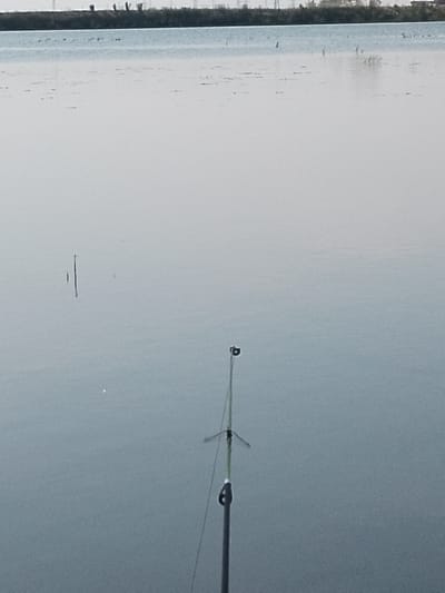 A fishing rod stands upright in the foreground, angled slightly to the right. The rod is dark grey with lighter green accents towards the top, where a fishing line extends upwards. The scene is set beside a calm body of water, likely a lake or river, under an overcast sky. In the distance, the shore is lined with dark foliage and some structures. The water's surface reflects the muted light, creating a serene and tranquil atmosphere. The overall impression is one of peaceful solitude in a natural setting.