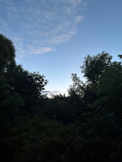 The image shows a view looking up at a blue sky with scattered white clouds, framed by dark green foliage from trees on the right side and lower portion of the frame. The trees are dense and create a shadowy effect in the foreground. The leaves are detailed and appear to be in full foliage, suggesting a warm season. The sky is clear and bright, with some wispy clouds that are softly illuminated, indicating it's daytime. The lighting suggests it might be late afternoon or early evening, as the sun is not directly overhead and the trees cast long shadows. The scene evokes a sense of nature and tranquility, with the contrast between the bright sky and the dark, lush greenery. The location is identified as Мартемьяново, Russia. There is no visible text in the image.