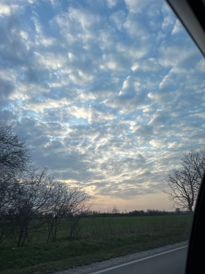 The image displays a rural landscape captured from within a vehicle in Topchii, Bulgaria. The upper two-thirds of the frame are dominated by a sky filled with an extensive formation of altocumulus clouds, exhibiting patterns of light grey, white, and patches of light blue sky visible between the cloud masses. The lower horizon presents a faint yellowish-pink glow, suggesting dawn or dusk. The middle ground consists of a flat expanse of green fields. The left foreground features a cluster of leafless deciduous trees with intricate bare branches extending upwards. A larger, bare deciduous tree is partially visible on the far right. The bottom edge of the image shows a segment of a paved road, marked by a white line on its shoulder. No individuals, animals, or specific activities are present in the scene. A dark frame, likely from a vehicle window, is visible along the right edge of the image.