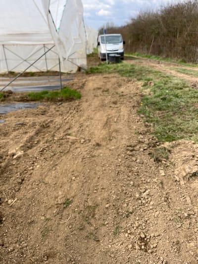 The scene depicts an agricultural area in Krško, Slovenia, under an overcast sky. In the foreground, a path of disturbed, light brown soil with scattered debris and sparse vegetation extends toward the middle ground. To the left, a series of white polyethylene tunnel greenhouses, supported by metal frames, are partially visible, with internal dark ground coverings or planting rows. A silver-colored commercial van is parked on a dirt track in the middle ground, facing away from the camera, positioned adjacent to the greenhouses. A blue pole or stake stands near the van's front. To the right of the dirt track, an area of green grass contains scattered yellow flowers. The background features a dense line of leafless deciduous trees and shrubs. No individuals, direct actions, or interactions are visible.
