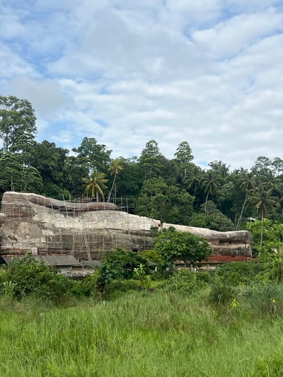 The image presents a vertical, eye-level view of a partially ruined structure situated in what appears to be a tropical or subtropical environment. The structure is built of brick and covered in scaffolding and tarpaulin. The surrounding landscape is lush, dominated by a mix of trees and tall green grass. Overhead, a cloudy sky is visible. There are no people in the scene. The location is Pilana, Sri Lanka.