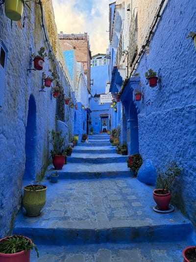 The image displays a narrow, stepped alleyway in the city of Chefchaouen, Morocco, characterized by its vibrant blue-painted buildings and steps. The perspective looks uphill along the alley.
**Environment:** The street is paved with stone steps and pavers, all painted in various shades of blue. Walls on both sides of the alley are rough-textured and painted blue. The sky is partially visible at the top, showing light blue patches with white clouds, suggesting daylight.
**Structures:** Buildings flank both sides, their facades predominantly blue. On the left, a wall features an arched recess and a window with horizontal bars. On the right, a multi-story building includes a protruding section with decorative architectural elements and a sign. Further up the alley, additional buildings are visible, some with lighter blue or white sections, and a reddish-brown brick structure is apparent on the left in the background.
**Objects:**
* Numerous potted plants are placed along the steps and walls. Some are large, green or red pots, while others are smaller, brightly colored hanging planters (red, yellow, green) mounted on the walls.
* A rectangular sign, "HOTEL Dar Gabriel," hangs from the right building, displaying black text on a light background, illuminated by yellow lamps.
* Black electrical conduits or cables run along the upper sections of the walls.
* A large, irregular blue rock or sculptural element is visible at the base of the right wall in the mid-ground.
**Subjects:** A small, short-haired white cat is positioned on one of the higher steps in the middle of the alley, facing away from the viewer.
**Actions/Interactions:** No human actions or direct interactions are visible. The scene is static, depicting a moment in time within the alley.