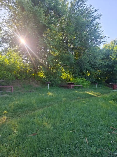The image depicts an outdoor scene in Grătiești, Moldova, featuring a grassy area with scattered picnic tables and benches under the dappled sunlight filtering through a canopy of lush green trees. The sun's rays create a lens flare effect on the left side of the image, illuminating the foliage. In the mid-ground, a wooden picnic table with benches is visible, and to its right, a metal barbecue grill stands on a white post. Further to the right, a red barrel is partially visible. The foreground is dominated by a well-maintained lawn with patches of clover and fallen leaves. The overall atmosphere is serene and suggests a public park or recreational area.