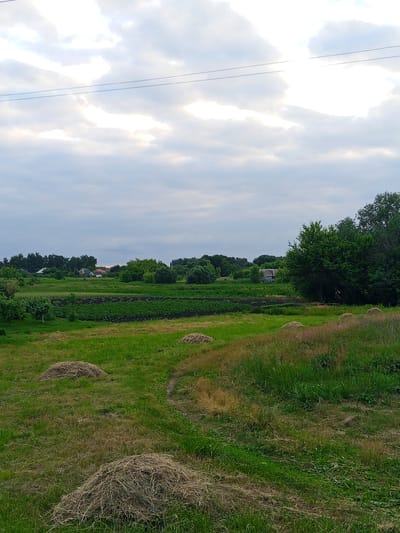A landscape photograph taken in the city of Panino, Russia, depicts a rural scene under a cloudy sky. The foreground is dominated by a grassy field with several piles of hay scattered throughout. A narrow dirt path winds through the field, leading towards the middle ground. In the middle ground, a dark, tilled field or garden bed is visible, bordered by lush green crops or plants. Beyond this cultivated area, a line of trees forms a verdant backdrop, with several small houses and buildings nestled amongst the foliage. To the right, a large, dense cluster of trees stands prominently. A single power line stretches across the upper portion of the frame, bisecting the sky, which is filled with diffused sunlight breaking through the clouds. The overall impression is one of a peaceful, agrarian environment.