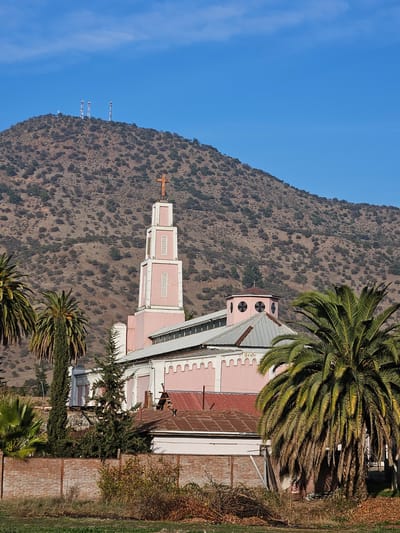 The image depicts a pink church with a tall, white and pink bell tower topped with a cross. The church features a light-colored roof and decorative architectural elements. In front of the church, there are several palm trees and smaller trees. A brick wall runs along the foreground, with dry vegetation and fallen leaves behind it. In the background, a large, arid hillside is covered with scattered vegetation and several communication towers are visible on its peak. The sky is clear and blue. This is a view of the Igreja Nossa Senhora da Natividade in Malloa, Chile.