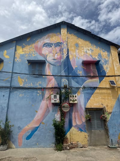 The image depicts a colorful mural on the facade of a building in Battambang, Cambodia. The mural features a stylized portrait of a person with blue and yellow accents, superimposed over geometric shapes in shades of blue, pink, and yellow. The paint is weathered and peeling in many areas, revealing the underlying texture of the wall.
Several objects are attached to the building's exterior, including electrical boxes, a solar panel, a circular convex mirror, and two hanging flower baskets. A window with grey shutters is visible on the right side of the mural, and another window with similar shutters is on the left. Overhead, a tangle of electrical wires crisscrosses the facade.
The ground in front of the building is paved with concrete. Potted plants and a stack of bricks are also present at the base of the wall. The sky above is cloudy with patches of blue. The overall scene suggests an urban environment with signs of wear and tear, yet enlivened by vibrant street art.
