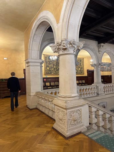 An ornate interior features arched openings and columns, one elaborately decorated. Woven tapestries hang on the walls, flanking a doorway that reveals shelves of books. A man in a dark suit and jeans stands near the bottom of the image. The floor is wood. The architecture is reminiscent of a castle, with detailed stonework on the staircase.