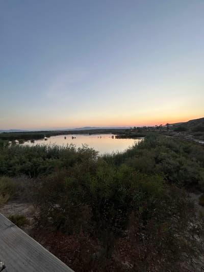 The image depicts a tranquil natural landscape at dusk. A still body of water, likely a lagoon or salt flat, dominates the mid-ground, reflecting the soft hues of the fading sky. Surrounding the water is dense, green vegetation, appearing as bushes and reeds. In the background, a range of low hills is visible, silhouetted against the horizon. The sky itself transitions from a clear, pale blue at the top to a warm gradient of yellow and orange near the horizon, indicating the setting sun. In the foreground, a wooden railing is partially visible on the left, suggesting a viewpoint or walkway. The overall scene is serene and untouched, characteristic of a natural preserve or undeveloped coastal area. The location is identified as the Laguna de Puertollano in Vera, Spain, a protected wetland area known for its diverse birdlife and unique ecological features. There are no people or discernible human activity in the image, emphasizing the natural state of the environment.