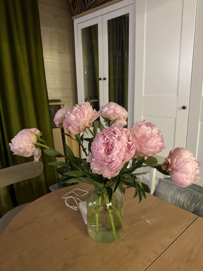 A bouquet of pink peonies in a glass vase sits on a wooden table. The table is positioned in front of a white double-door cabinet with glass panels. To the left of the cabinet, a green curtain is visible, and behind the curtain, a wooden wall can be seen. The image appears to be taken indoors, likely in a residential setting within Тумілавіцкі сельскі Савет, Belarus. There are no people present in the scene.