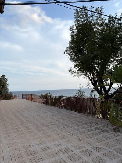 The image displays an elevated coastal scene in Villajoyosa/la Vila Joiosa, Spain, overlooking the Mediterranean Sea. The foreground features a wide, level surface paved with light-colored rectangular interlocking pavers, exhibiting a subtle downward slope from left to right. A small, blue, unidentifiable piece of debris lies on the pavement near the center. This paved area is demarcated by a dark red metal railing with vertical bars, beyond which a vegetated area slopes down to the sea. The vegetation includes various green plants, prominently featuring large, broad leaves and a slender coniferous tree. The Mediterranean Sea forms the background, appearing calm with a blue-grey hue extending to a visible horizon. The sky overhead is partly cloudy, with scattered white and pale grey clouds against a light blue backdrop. A substantial, dark green tree with dense foliage occupies the right side of the frame, partially obscuring the view of the sea and sky. Black utility wires are visible stretching horizontally across the upper portion of the sky. No individuals are present.