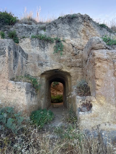 This vertical image displays a weathered rock formation with a centrally positioned arched passage, located in Sperone, Italy. The rock primarily consists of light-toned stone, exhibiting various shades of tan, beige, and grey, with darker striations indicative of weathering and mineral deposits.
The focal point is a dark, semi-circular archway situated in the lower-middle section of the frame, which serves as an entrance to a tunnel-like passage. The interior of the passage is shadowed, with a small cluster of green vegetation faintly visible towards its deeper end. The entrance is flanked by carved or eroded stone structures forming the portal.
Above the archway, the rock face rises steeply, displaying visible layering and irregular fracturing. Sparse vegetation, including small green shrubs, some with light-colored blooms, and numerous clumps of dry, light-brown grasses, grows from crevices and ledges on the rock surface, with the grasses at the top catching direct sunlight.
The foreground ground cover consists of a mix of dry, pale grasses, darker weeds, and a prominent cluster of bluish-green succulent plants positioned on the lower-left. Small green plants also emerge from the rock's lower sections. The sky, visible at the top of the frame, is a clear, light blue. No human figures, animals, or artificial structures other than the carved passage are present in the scene.