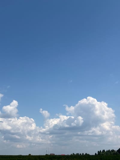The image displays a vast expanse of clear blue sky dominating the upper portion of the frame. The lower third of the image features a line of fluffy, white cumulus clouds stretching across the horizon. Below the clouds, a dark green field extends horizontally. In the distance, silhouetted against the sky and field, are a few small trees and what appears to be a building with a reddish roof, possibly in the city of Malaya, Russia. A thin, vertical pole-like structure is also visible in the middle ground. The scene is overcast and depicts an outdoor, natural environment.