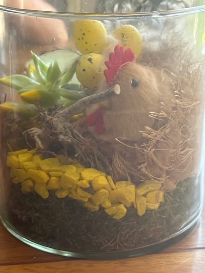 The image shows a close-up of a decorative arrangement inside a clear glass cylinder. The arrangement features a small, fuzzy brown chicken figurine with a red comb, nestled in a bed of straw and dry grass. Behind the chicken, there are several yellow, speckled egg-shaped decorations. To the left of the chicken, a small green succulent plant with yellow accents is visible. The base of the arrangement consists of dark green moss and a layer of bright yellow decorative stones. A small, gnarled piece of driftwood is positioned in front of the chicken. The background is blurry, but suggests a person's face and arm are reflected in the glass. The scene is set on a wooden surface. There is no information to place this image in the city of Uithuizen, Netherlands.
