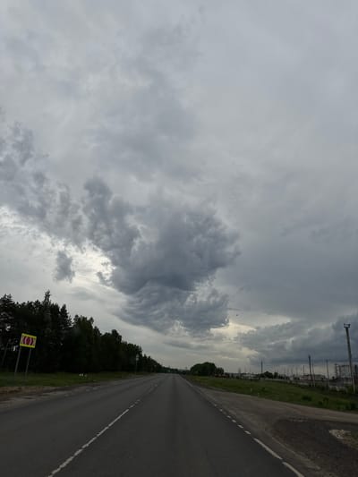 A long asphalt road stretches into the distance under a predominantly overcast sky. The road has a white line marking the edge. To the left of the road is a line of trees and shrubs. There is a yellow and red sign on the roadside. Beyond the trees, industrial structures are visible. The location is Бизяки, Russia.