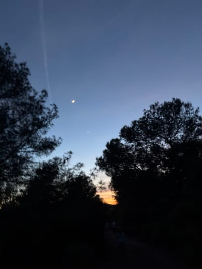 The image shows a dusk or dawn sky viewed from what appears to be Albalat dels Tarongers, Spain, based on the location context. Silhouetted tree branches frame the view. The sky is a gradient of blue, transitioning to orange near the horizon on the left side of the image. A crescent moon and another small, faint celestial body (likely a planet or star) are visible in the upper right portion of the sky. A faint contrail is also present in the upper right. The image appears to be taken from ground level looking upwards at an angle.